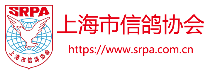 上海市信鸽协会